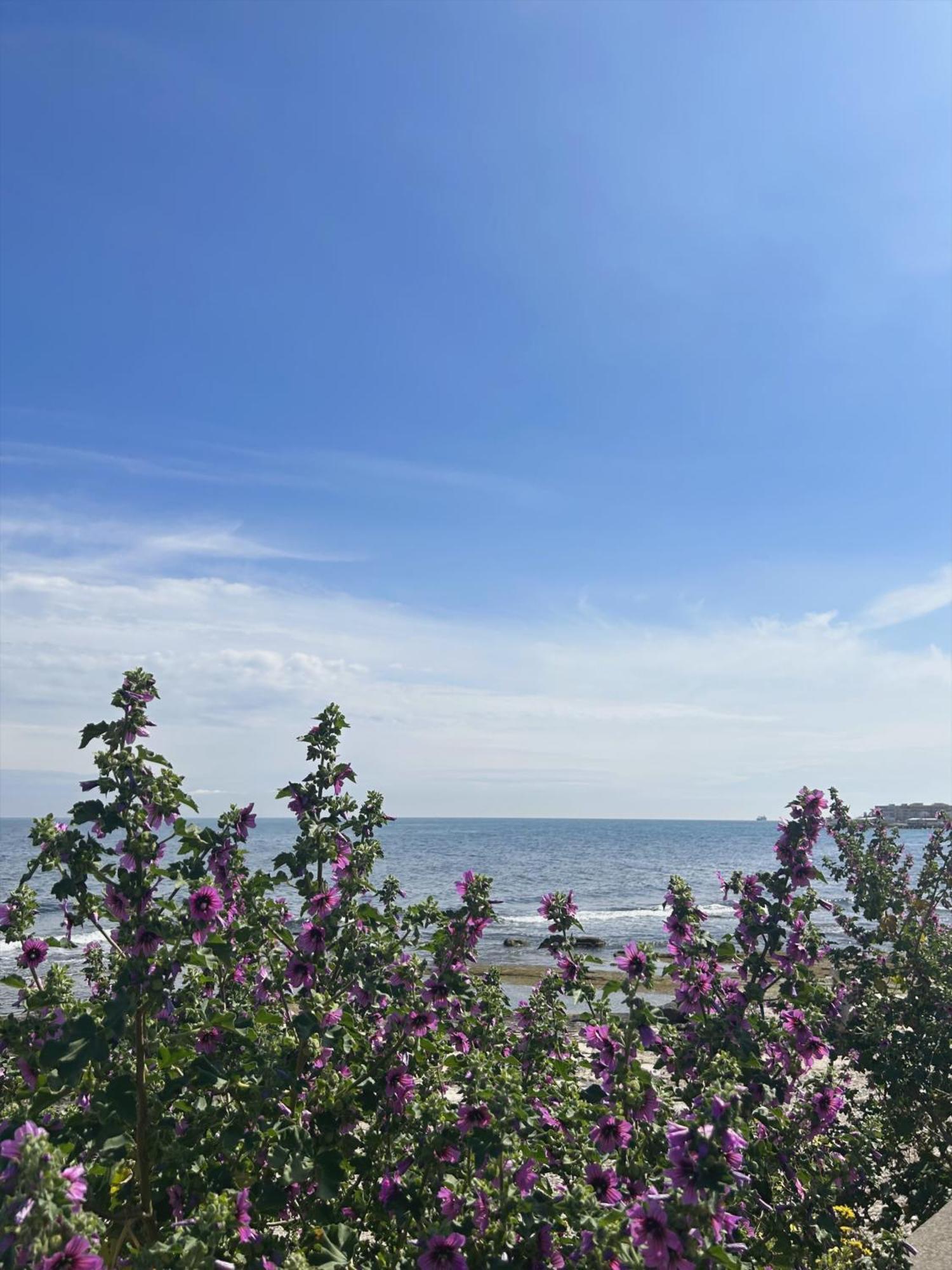 Bed and Breakfast Orchidea Bari Exterior foto